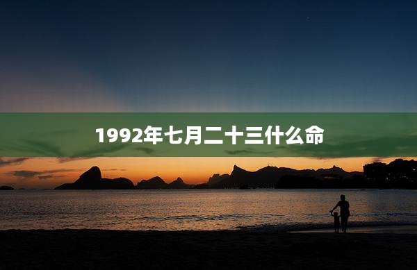 1992年七月二十三什么命