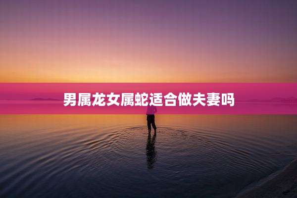 男属龙女属蛇适合做夫妻吗