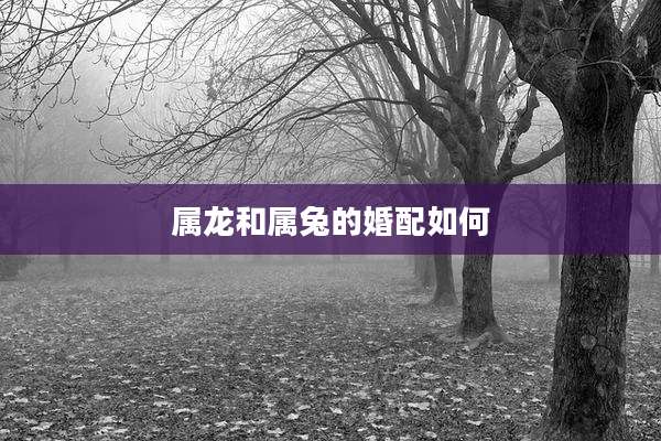 属龙和属兔的婚配如何