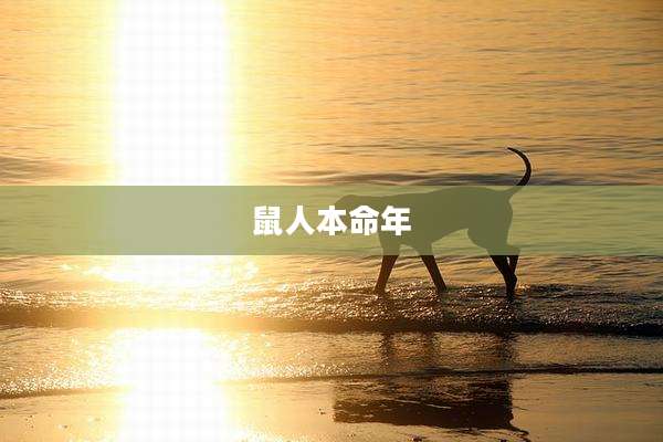 鼠人本命年