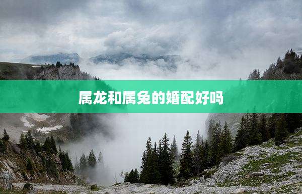 属龙和属兔的婚配好吗