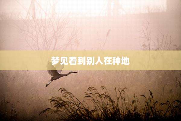 梦见看到别人在种地