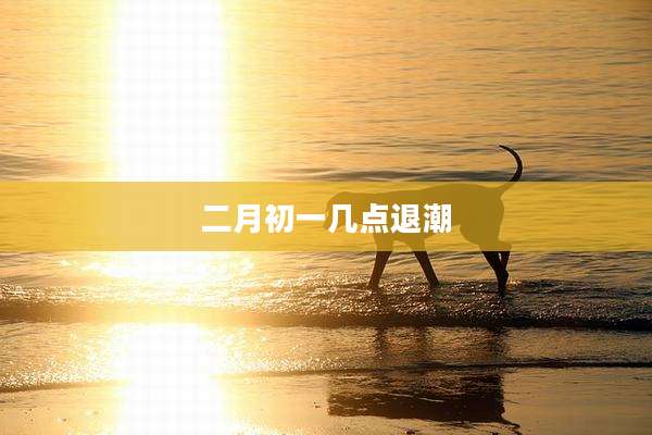 二月初一几点退潮