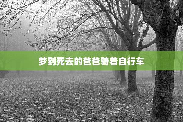 梦到死去的爸爸骑着自行车