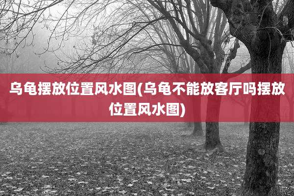 乌龟摆放位置风水图(乌龟不能放客厅吗摆放位置风水图)