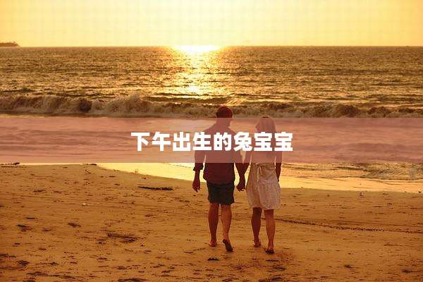 下午出生的兔宝宝