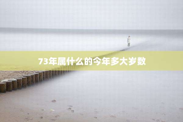 73年属什么的今年多大岁数