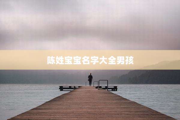 陈姓宝宝名字大全男孩
