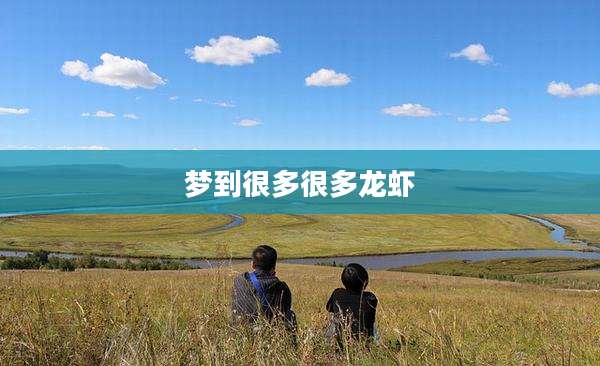 梦到很多很多龙虾