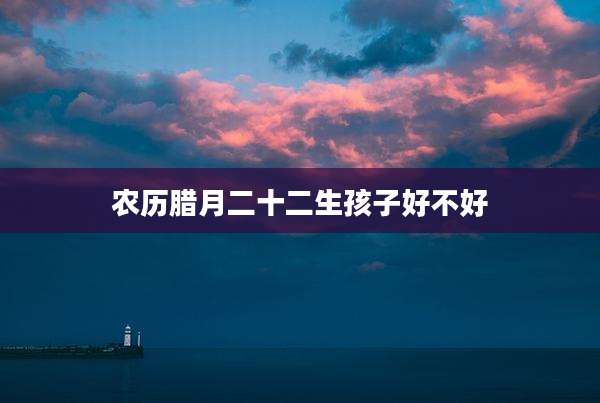 农历腊月二十二生孩子好不好