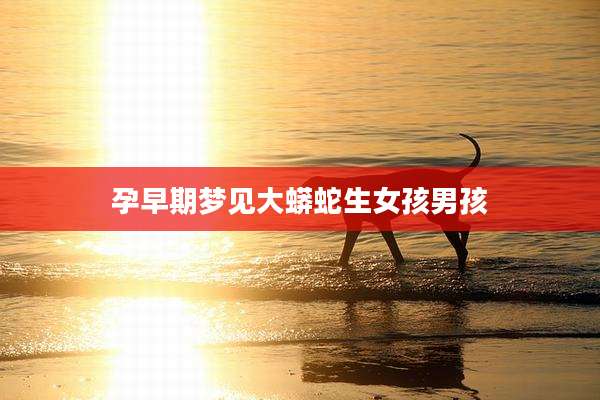 孕早期梦见大蟒蛇生女孩男孩
