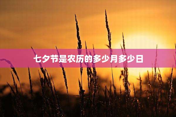 七夕节是农历的多少月多少日
