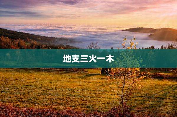 地支三火一木