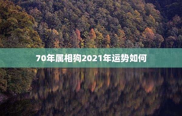 70年属相狗2021年运势如何