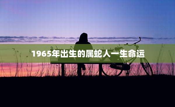 1965年出生的属蛇人一生命运