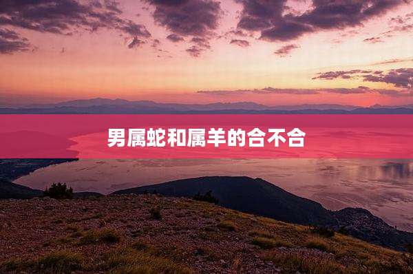 男属蛇和属羊的合不合