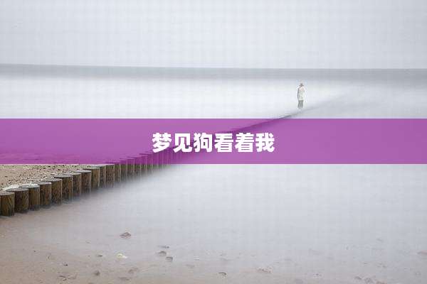 梦见狗看着我