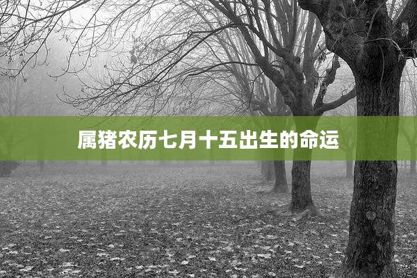 属猪农历七月十五出生的命运
