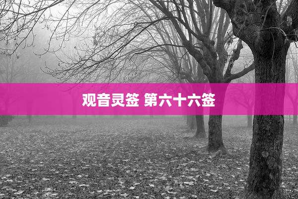 观音灵签 第六十六签