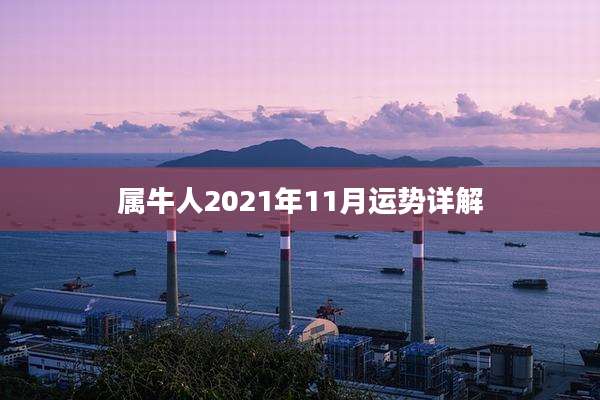 属牛人2021年11月运势详解