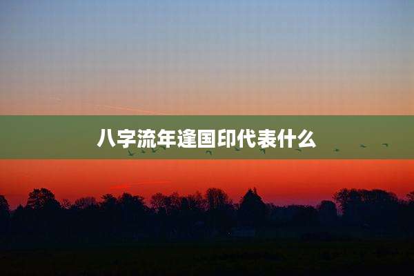 八字流年逢国印代表什么