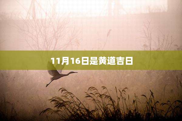 11月16日是黄道吉日