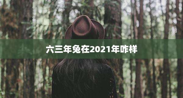 六三年兔在2021年咋样