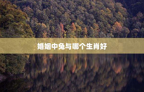 婚姻中兔与哪个生肖好