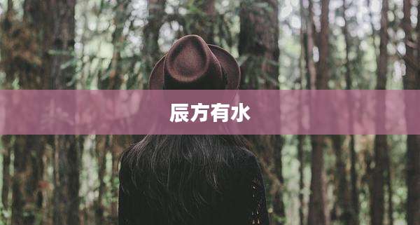 辰方有水