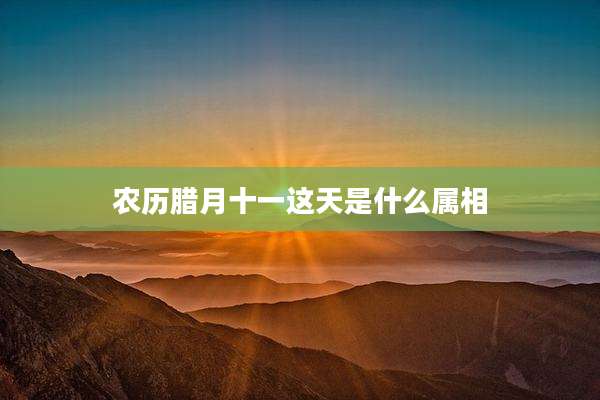 农历腊月十一这天是什么属相