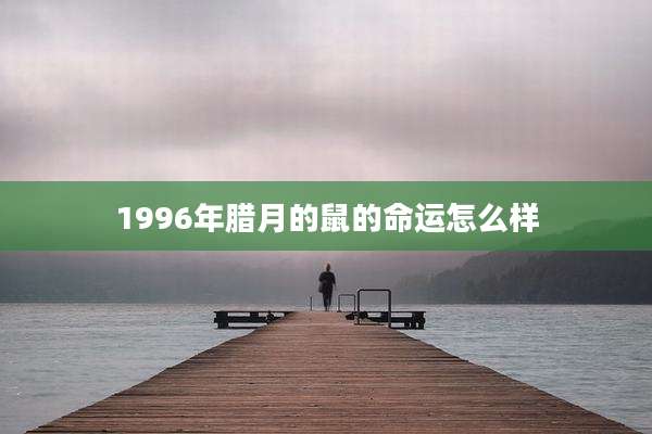 1996年腊月的鼠的命运怎么样