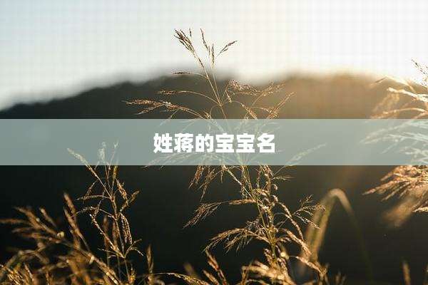 姓蒋的宝宝名