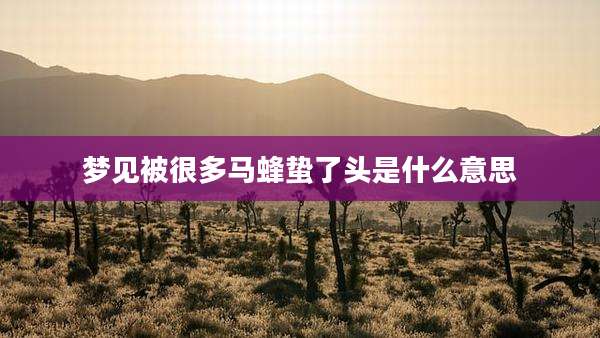梦见被很多马蜂蛰了头是什么意思