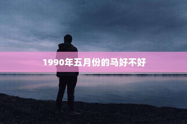 1990年五月份的马好不好