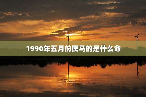 1990年五月份属马的是什么命