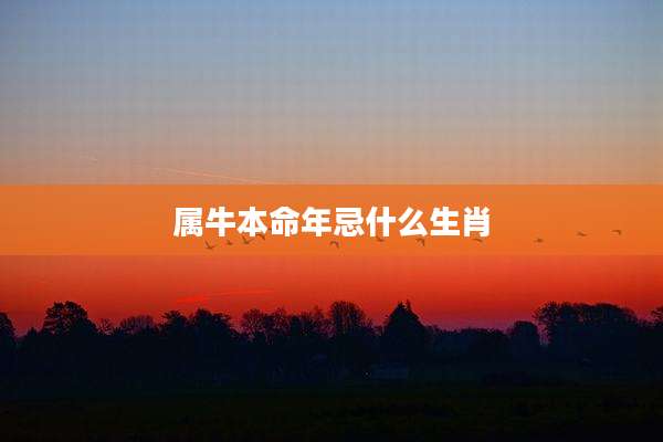 属牛本命年忌什么生肖