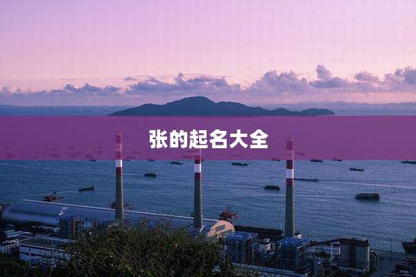 张的起名大全