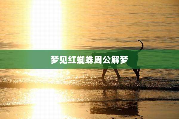 梦见红蜘蛛周公解梦