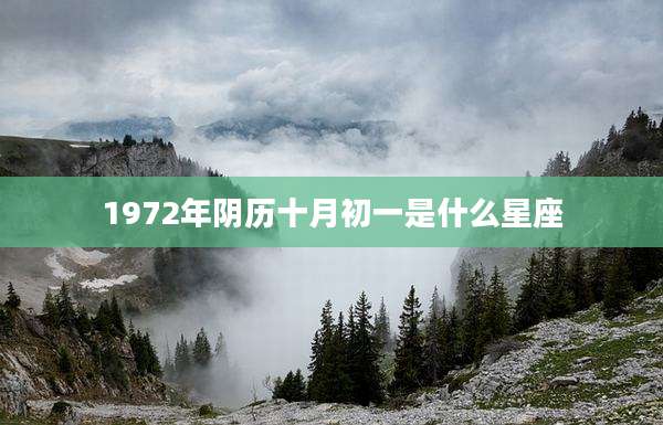 1972年阴历十月初一是什么星座