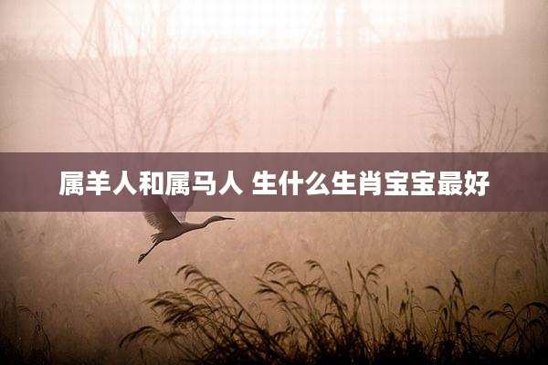 属羊人和属马人 生什么生肖宝宝最好