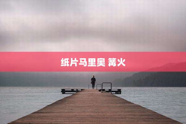 纸片马里奥 篝火