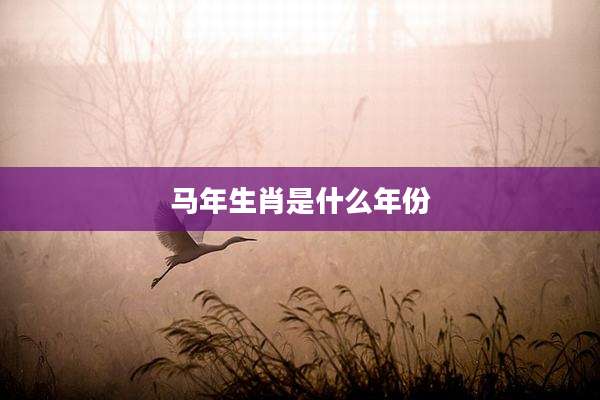 马年生肖是什么年份