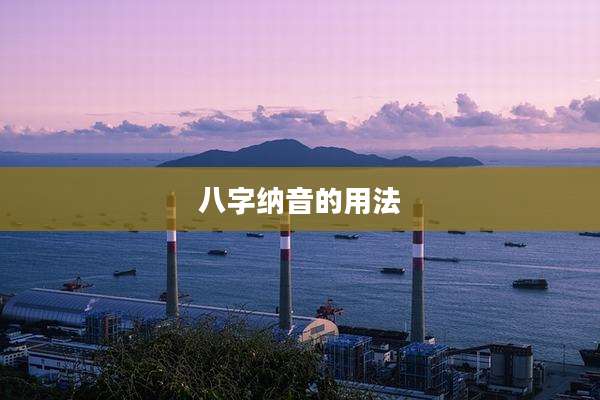 八字纳音的用法