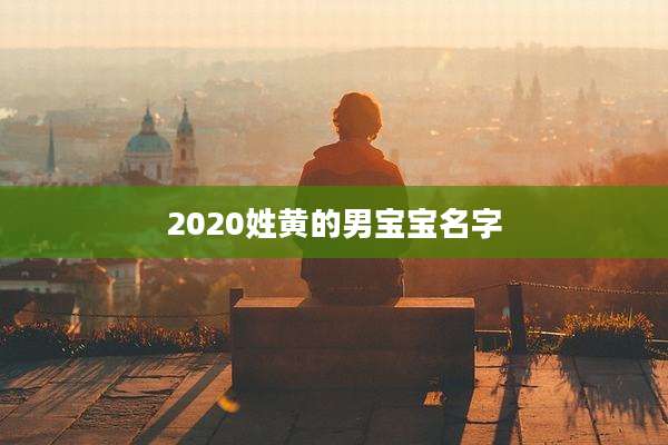2020姓黄的男宝宝名字