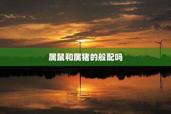 属鼠和属猪的般配吗