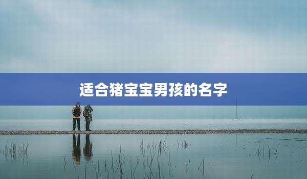 适合猪宝宝男孩的名字
