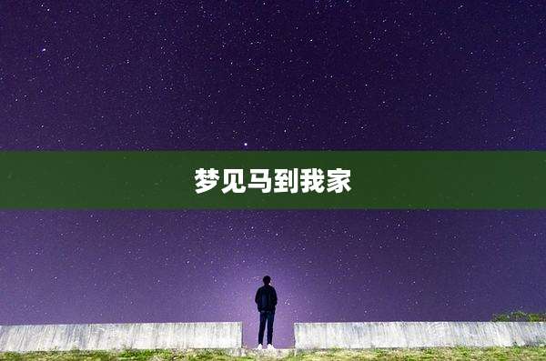 梦见马到我家
