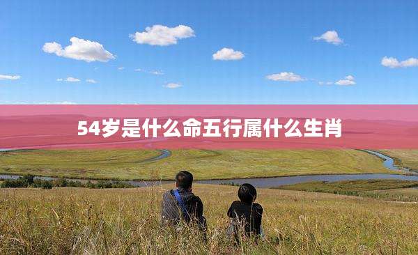 54岁是什么命五行属什么生肖