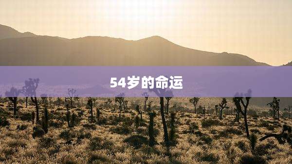54岁的命运