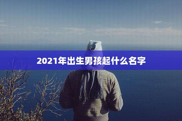 2021年出生男孩起什么名字